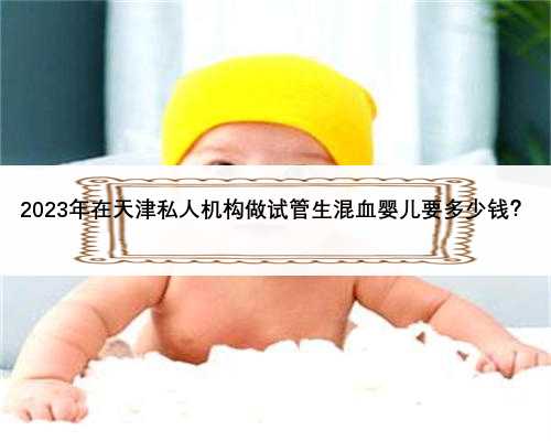 2023年在天津私人机构做试管生混血婴儿要多少钱